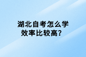 湖北自考怎么學(xué)效率比較高？