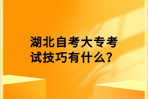 湖北自考大?？荚嚰记捎惺裁?？