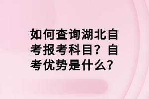 如何查詢湖北自考報(bào)考科目？自考優(yōu)勢是什么？