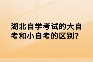 湖北自學考試的大自考和小自考的區(qū)別？