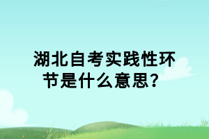 湖北自考實(shí)踐性環(huán)節(jié)是什么意思？