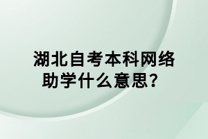 湖北自考本科網(wǎng)絡(luò)助學(xué)什么意思？