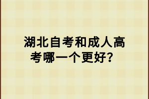 湖北自考和成人高考哪一個更好？