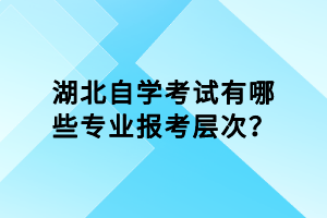 湖北自學考試有哪些專業(yè)報考層次？