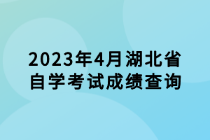 2023年4月湖北省自學考試成績查詢