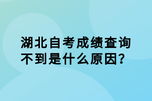 湖北自考成績(jī)查詢(xún)不到是什么原因？