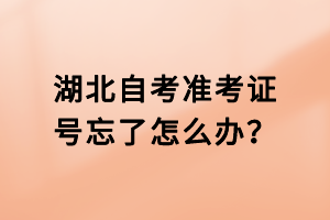 湖北自考準(zhǔn)考證號忘了怎么辦？