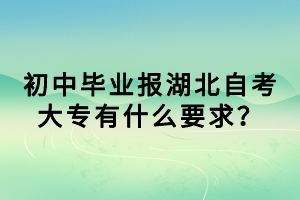 初中畢業(yè)報湖北自考大專有什么要求？