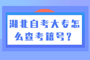 湖北自考大專怎么查考籍號(hào)？