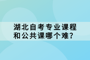 湖北自考專業(yè)課程和公共課哪個難？