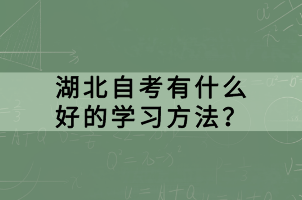 湖北自考有什么好的學(xué)習(xí)方法？