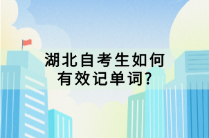 湖北自考生如何有效記單詞?