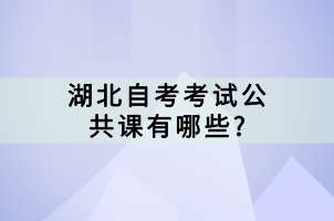 湖北自考考試公共課有哪些?