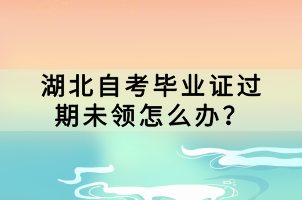 湖北自考畢業(yè)證過期未領怎么辦？