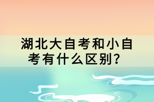 湖北大自考和小自考有什么區(qū)別？