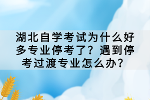 湖北自學(xué)考試為什么好多專業(yè)?？剂?？遇到?？歼^渡專業(yè)怎么辦？