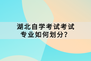 湖北自學(xué)考試考試專業(yè)如何劃分？