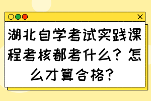 湖北自學考試實踐課程考核都考什么？怎么才算合格？