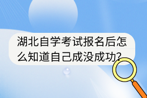 湖北自學(xué)考試報名后怎么知道自己成沒成功？