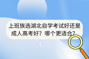 上班族選湖北自學(xué)考試好還是成人高考好？哪個(gè)更適合？