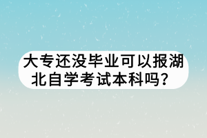 大專還沒畢業(yè)可以報湖北自學(xué)考試本科嗎？