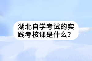 湖北自學考試的實踐考核課是什么？