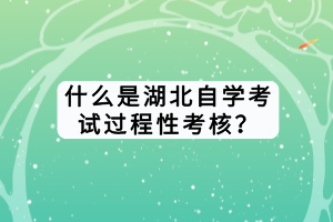 什么是湖北自學考試過程性考核？