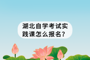 湖北自學(xué)考試實(shí)踐課怎么報(bào)名？