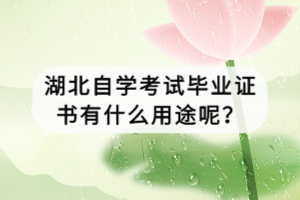 湖北自學考試畢業(yè)證書有什么用途呢？