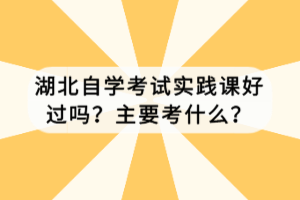 湖北自學(xué)考試實踐課好過嗎？主要考什么？