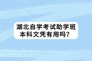 湖北自學考試助學班本科文憑有用嗎？