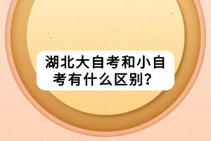 湖北大自考和小自考有什么區(qū)別？