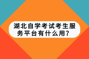 湖北自學(xué)考試考生服務(wù)平臺(tái)有什么用？