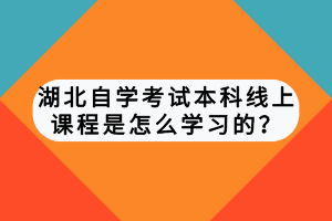 湖北自學(xué)考試本科線上課程是怎么學(xué)習(xí)的？