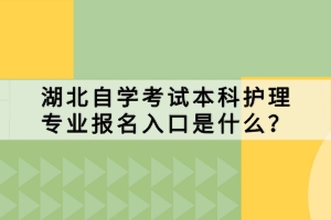 湖北自學(xué)考試本科護(hù)理專業(yè)報(bào)名入口是什么？