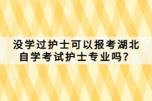 沒學過護士可以報考湖北自學考試護士專業(yè)嗎？