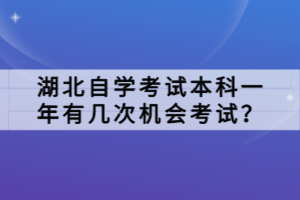 湖北自學考試本科一年有幾次機會考試？