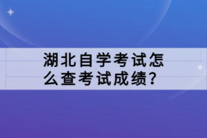 湖北自學考試怎么查考試成績？