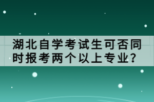 湖北自學考試生可否同時報考兩個以上專業(yè)？