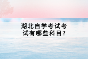 湖北自學(xué)考試考試有哪些科目？