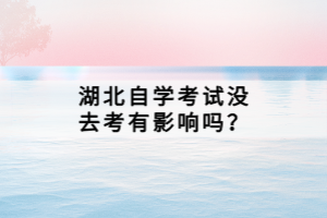 湖北自學考試沒去考有影響嗎？