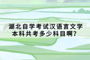 湖北自學(xué)考試漢語(yǔ)言文學(xué)本科共考多少科目啊？