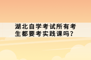 湖北自學(xué)考試所有考生都要考實踐課嗎？