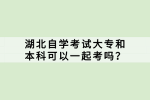 湖北自學考試大專和本科可以一起考嗎？