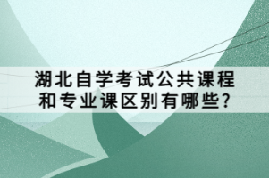 湖北自學(xué)考試公共課程和專業(yè)課區(qū)別有哪些？