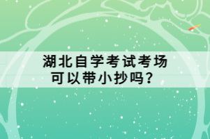 湖北自學(xué)考試考場可以帶小抄嗎？