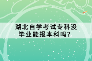 湖北自學(xué)考試?？茮]畢業(yè)能報(bào)本科嗎？