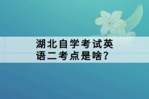 湖北自學(xué)考試英語二考點是啥？