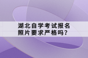 湖北自學(xué)考試報(bào)名照片要求嚴(yán)格嗎？