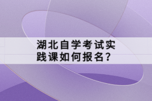 湖北自學考試實踐課如何報名？